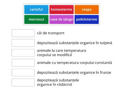 Relatii intre functii de nutritie