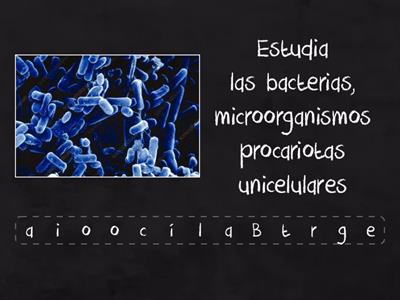 ÁREAS DE LA MICROBIOLOGÍA 