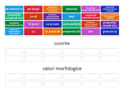 conjuncții, prepoziții