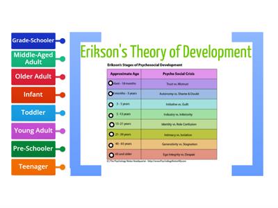 Ericson's Theory of development
