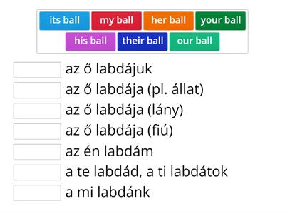 Possessive adjectives_1