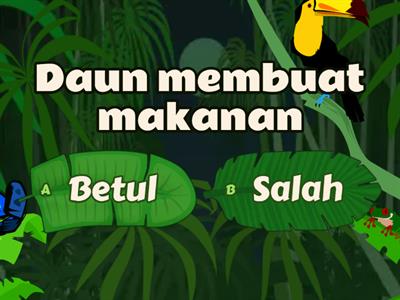 Semua Tentang Daun