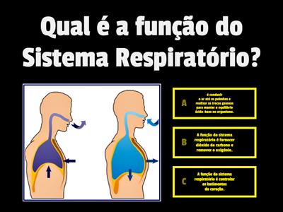 TESTE: Sistema Respiratório