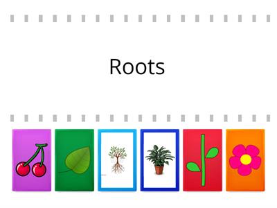 Plants parts