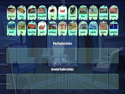 Vertebrates and Invertebrates 