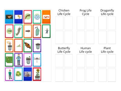 Sequencing Life Cycles 
