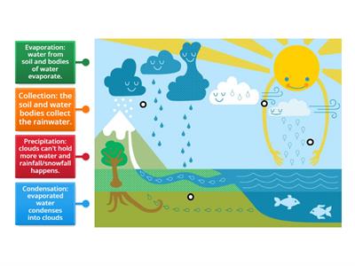 Water Cycle