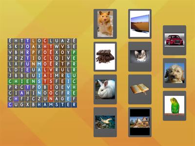 Vocabulaire - trouve le mots et lie-les aux images !