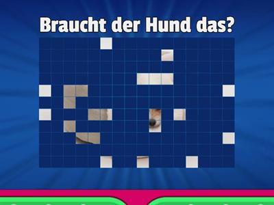 Was braucht der Hund?