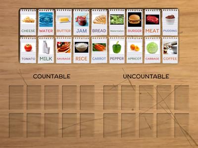  UNCOUNTABLE AND COUNTABLE NOUNS