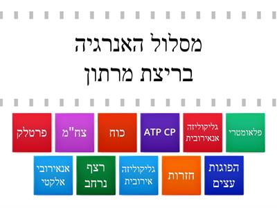 שיטות אימון + מרכיבי כושר גופני + מסלול אנרגיה