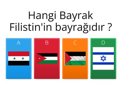 Ülke Bayrakları Testi