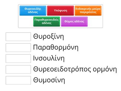 Ανατομία - Φυσιολογία ΙΙ_ορμόνες