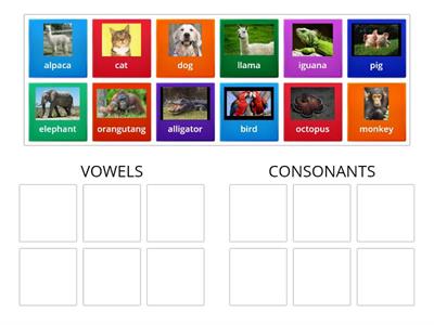 Vowels x Consonants