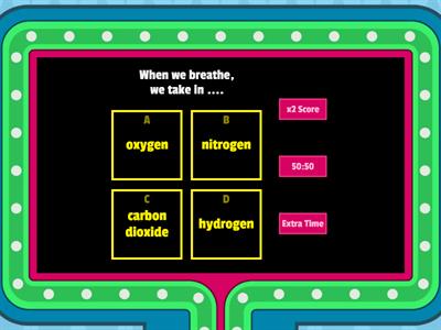 Respiratory System