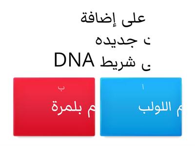 تضاعف DNA