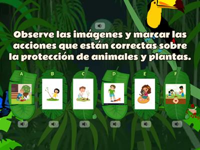 Protegiendo a los animales y las plantas. (Ámbito Relaciones con el medio natural y cultural). Subnivel Inicial 2