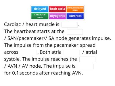 Describe the mechanism of heartbeat in mammals.