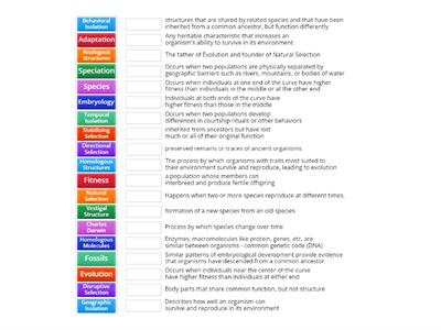 Unit 10 Evolution Vocab