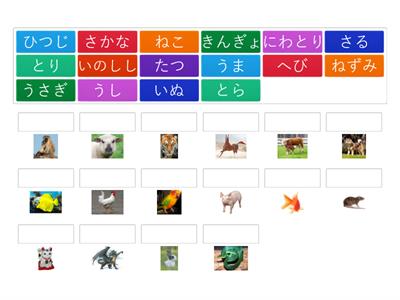 ANIMALS Yr 9 JPN