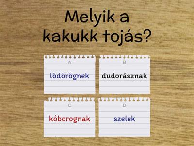 Kakukk tojás