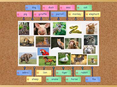 F&F1 ANIMALS UNIT 11