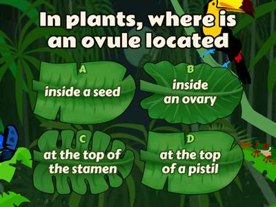 Plants Structures and Functions