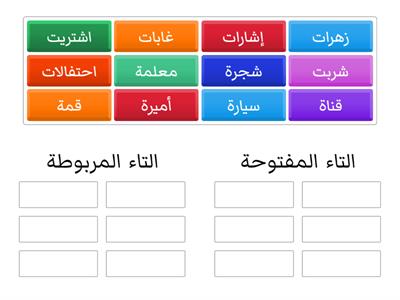 نشاط تفاعلي - التاء المربوطة والتاء المفتوحة