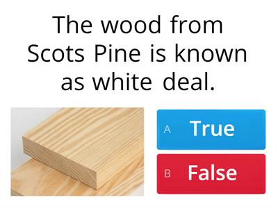 Irish Softwood Trees: Quiz