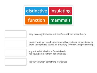 ACTION VERBS  VOCABULARY