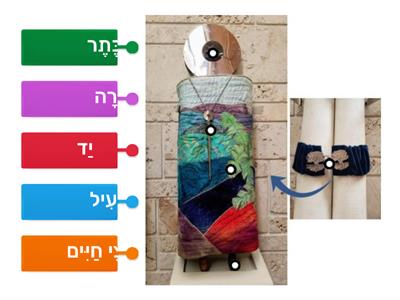Parts of a Torah Scroll