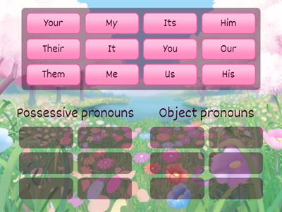 object pronouns vs possessive pronouns