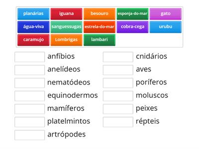 Invertebrados\Vertebrados