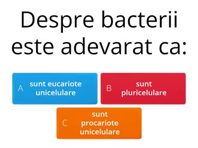 Quiz Bacterii