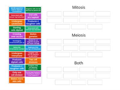 Compare and contrast mitosis and meiosis