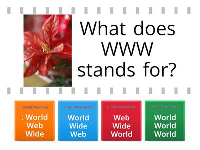 What does WWW stands for?