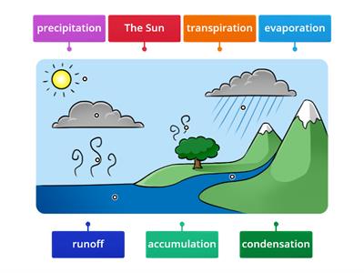Water Cycle- Label Illustration