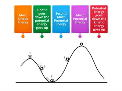 Roller Coaster Potential vs. Kinetic Energy