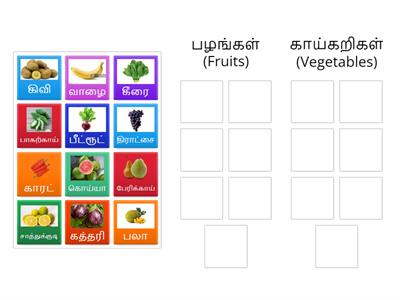 Sort fruits and vegetables / பழங்கள், காற்கறிகளை வகைப்படுத்து 