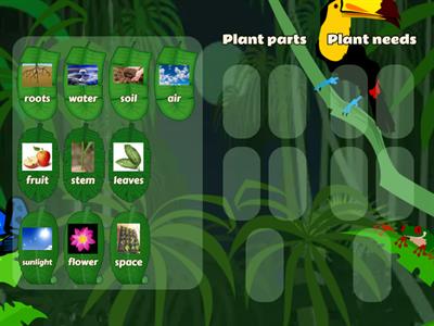 Plant parts & Plant needs