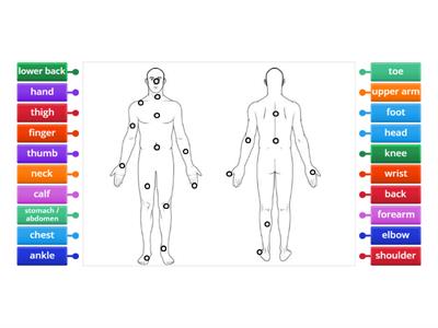 Body Parts - Label (20)