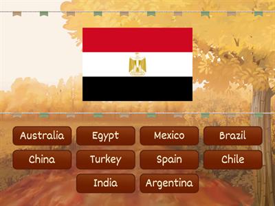  Countries and flags_Super minds 3 Unit 8
