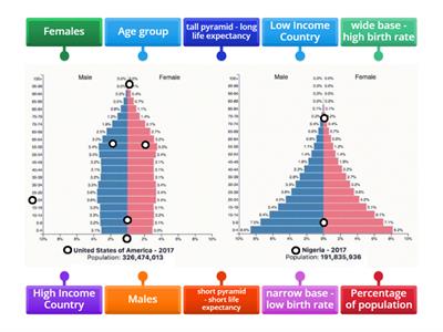 Population Pyramids - Teaching Resources