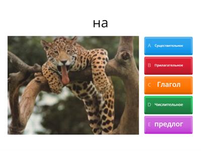 Части речи 3 класс