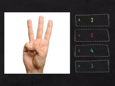 Math & Finger