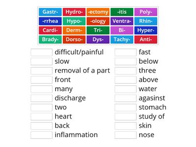 Essentials of Healthcare Med Terms Review
