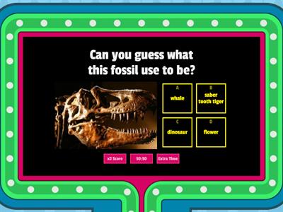 Who does the fossil belong to?