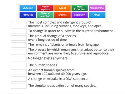 Chapter 8 Evolution Vocabulary (ABC Sheehan)