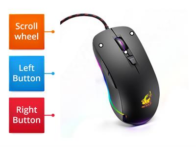 Computer mouse 