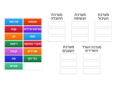 מערכות בגוף